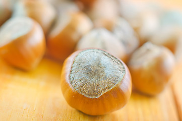 Image showing hazelnuts