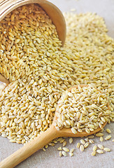 Image showing wheat