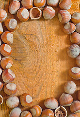 Image showing hazelnuts