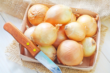 Image showing onion