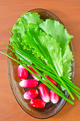 Image showing radish and salad