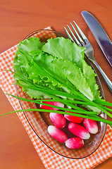 Image showing radish and salad