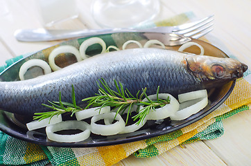 Image showing herring