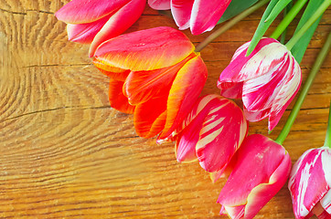 Image showing Tulips