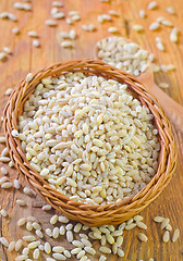 Image showing pearl barley