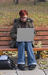 Image showing Working on the laptop
