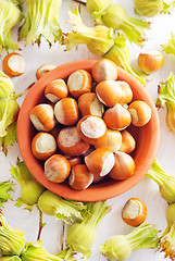 Image showing hazelnuts