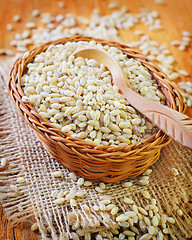 Image showing pearl barley