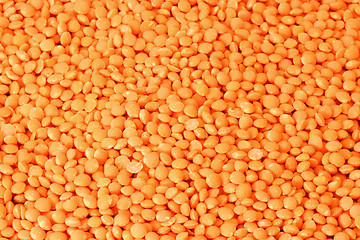 Image showing Orange Lentils