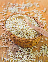 Image showing pearl barley