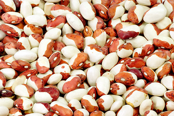 Image showing Red and White Beans