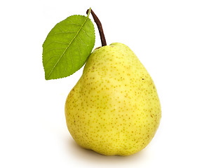 Image showing yellow pear