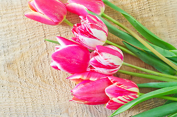 Image showing Tulips