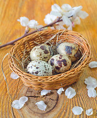 Image showing quail eggs