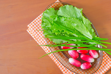 Image showing radish and salad