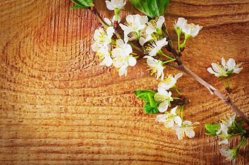 Image showing flowers on wooden background