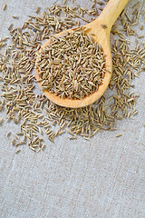 Image showing cumin