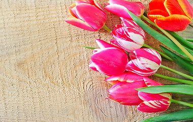 Image showing Tulips