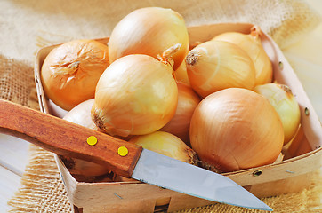 Image showing onion