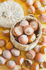 Image showing hazelnuts