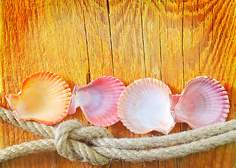 Image showing shells on wooden background