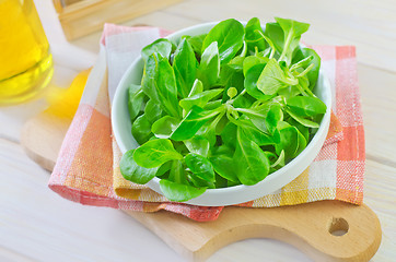 Image showing corn salad