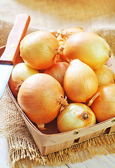 Image showing onion