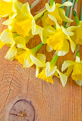 Image showing yellow flowers