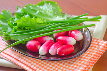 Image showing radish and salad