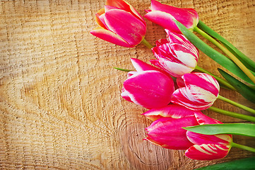 Image showing Tulips