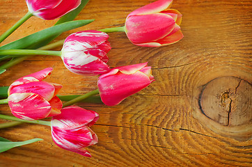 Image showing Tulips