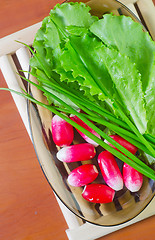 Image showing radish and salad