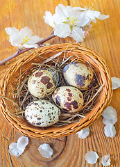 Image showing quail eggs