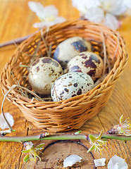 Image showing quail eggs