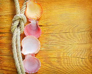 Image showing shells on wooden background