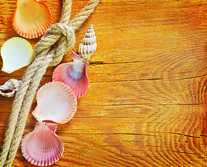 Image showing shells on wooden background