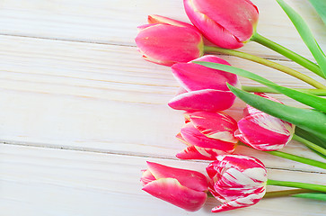 Image showing Tulips