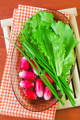 Image showing radish and salad
