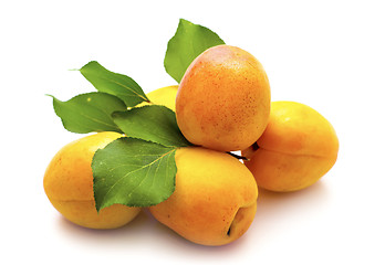 Image showing apricot