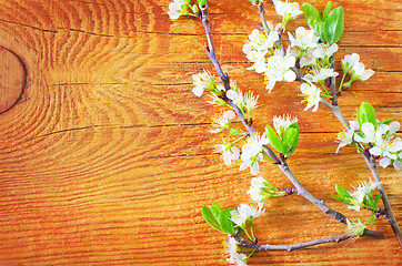 Image showing flowers on wooden background