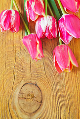 Image showing Tulips