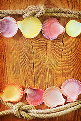 Image showing shells on wooden background