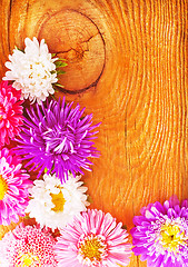Image showing flowers on wooden background