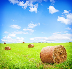 Image showing haystack