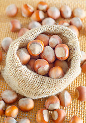 Image showing hazelnuts