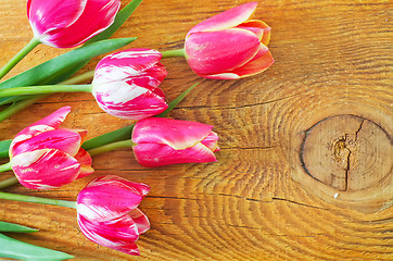 Image showing Tulips