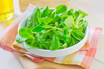 Image showing corn salad