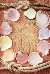 Image showing shells on wooden background