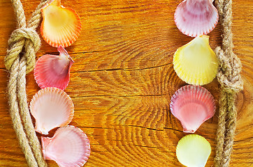 Image showing shells on wooden background