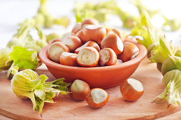 Image showing hazelnuts